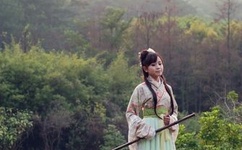 高N车多肉多沉清垣